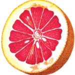 Vodka Grapefruit